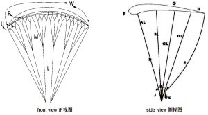 Paraglider Lines